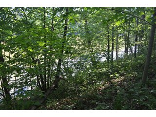 Property photo 48 - 108 +/- Acres Offered in 2 Tracts - Land Auction